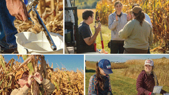 Four photos show University of Kentucky soil scientist Hanna Poffenbarger and students Gabriela Frigo Fernandes, Mariana Ayres Rodrigues, and Shelby Stanley working in the field on research related to the impact of crops on soil organic carbon concentration