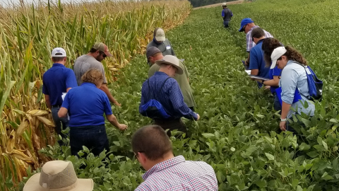 People walk in a field as they participate in KATS