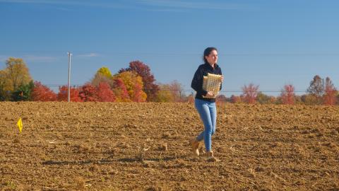 Plant and Soil Science graduate research assistant Upama Dev carries empty seed trays at Spindletop Research Farm.