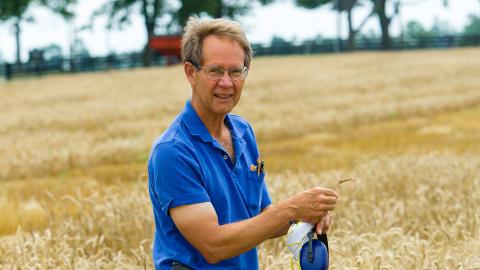 Dr. Dave Van Sanford works in a field