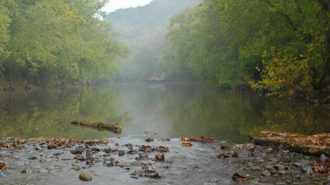 A river in Kentucky